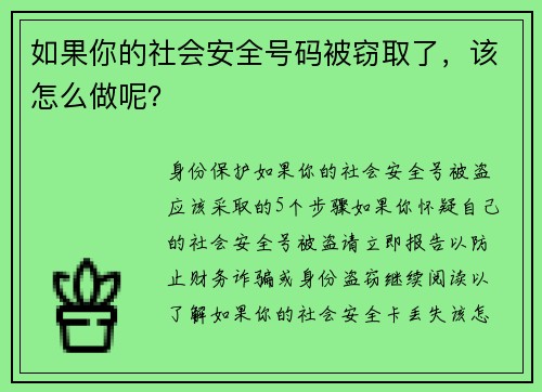 如果你的社会安全号码被窃取了，该怎么做呢？