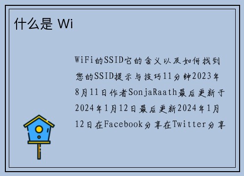 什么是 Wi