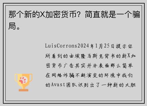 那个新的X加密货币？简直就是一个骗局。